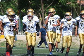 比利时男队自由泳速度抢眼，比利时网球男单运动员