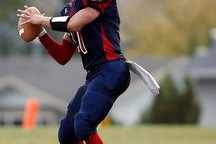 FUT足球游戏：虚拟竞技带来的新流行，fl fa足球游戏