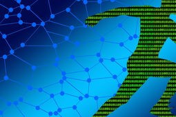 体育赛事观众行为特征及管理策略，请说出观看体育赛事的几个基本礼仪