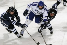 大卫·波波维奇泳池内外双重突破，大卫 波波维奇